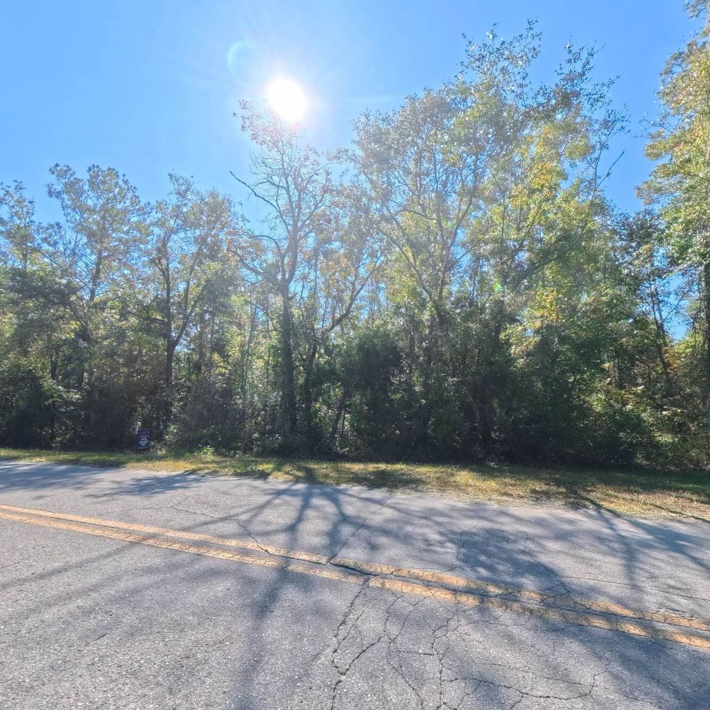 Photo of Vacant Ira L. Smith Rd Road, Perry, FL 32359 (MLS # 392439)