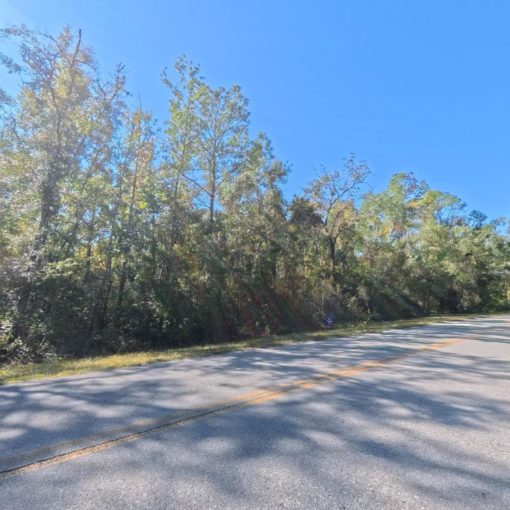 Photo of Vacant Ira L. Smith Rd Road, Perry, FL 32359 (MLS # 392439)