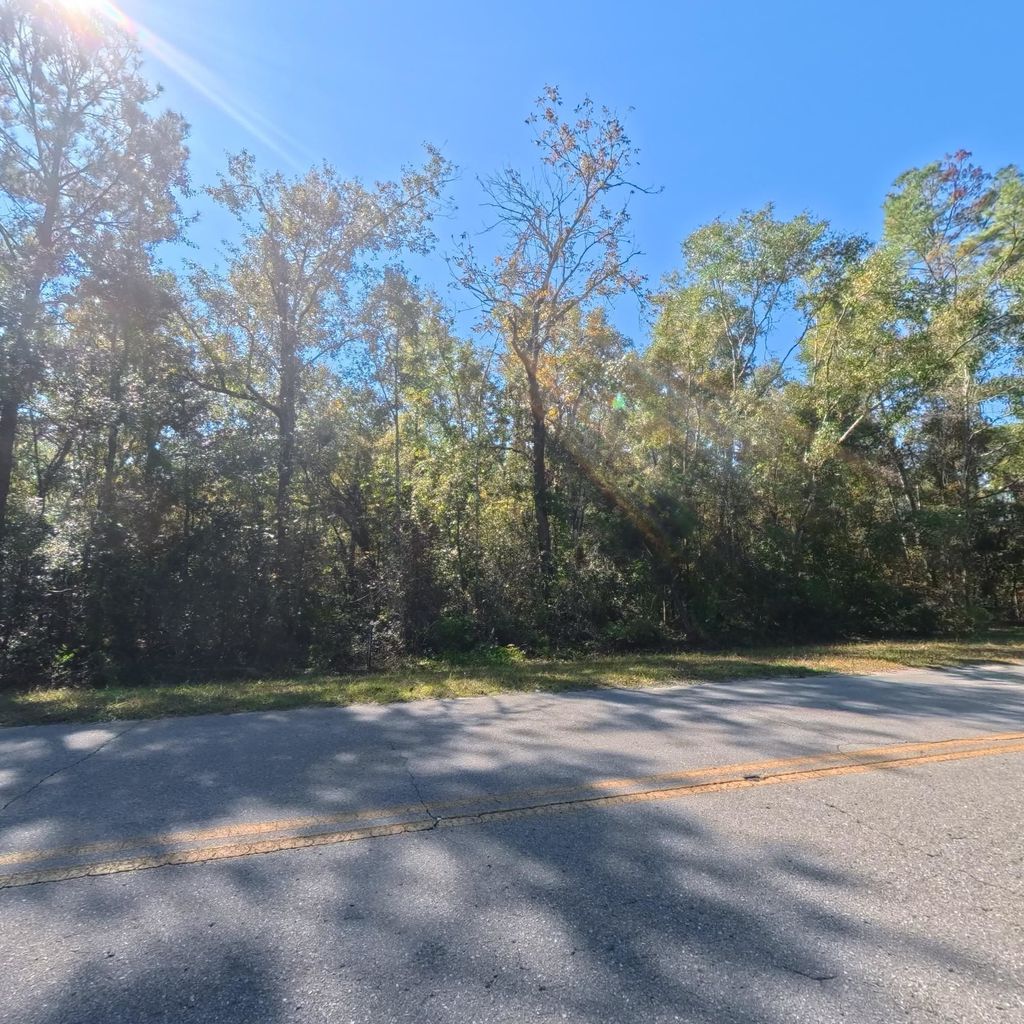 Photo of Vacant Ira L. Smith Rd Road, Perry, FL 32359 (MLS # 392439)