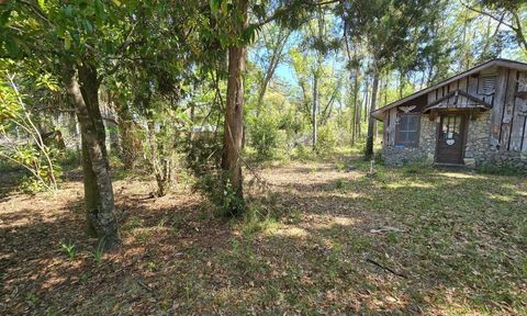 Tiny photo for 1764 Dice Road, Perry, FL 32348 (MLS # 397840)