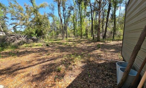 Tiny photo for 1764 Dice Road, Perry, FL 32348 (MLS # 397840)