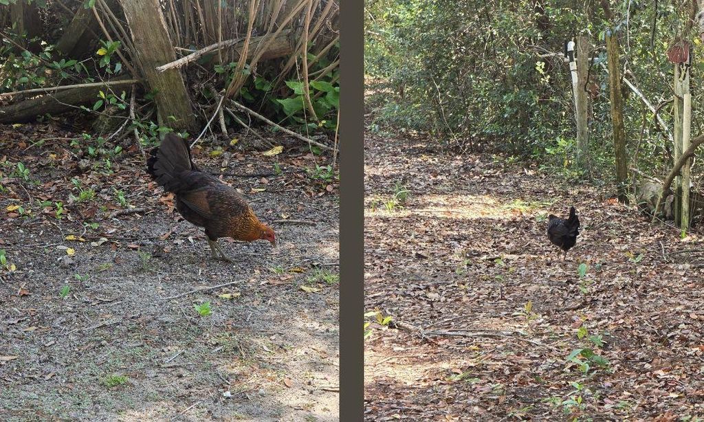 Photo of 1764 Dice Road, Perry, FL 32348 (MLS # 397840)