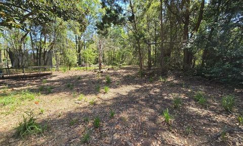 Tiny photo for 1764 Dice Road, Perry, FL 32348 (MLS # 397840)