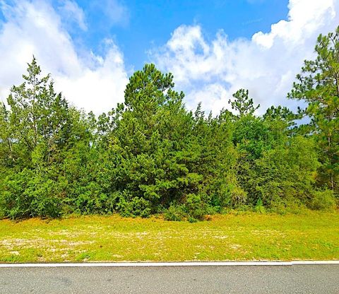 0 Fairview Road Alford FL 32420