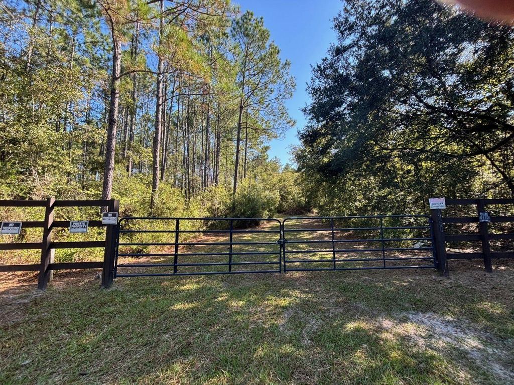 Photo of 1570 SW Wabasso Terrace, Greenville, FL 32331 (MLS # 391641)