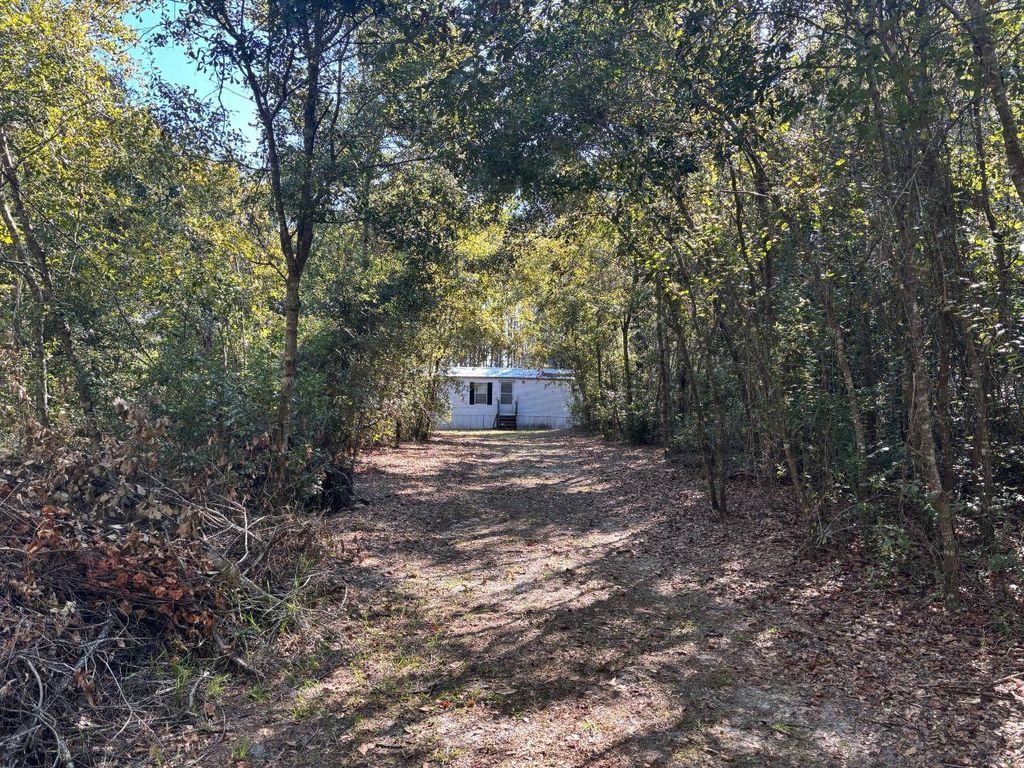 Photo of 1570 SW Wabasso Terrace, Greenville, FL 32331 (MLS # 391641)