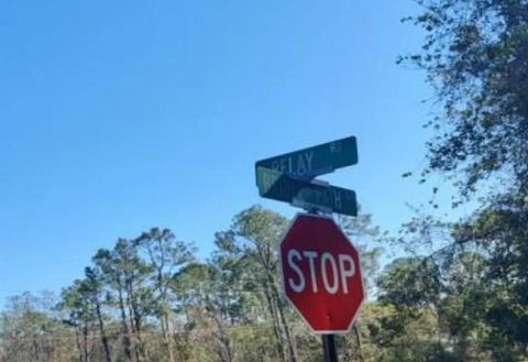 Tiny photo for 354 Bridle Path Lane, Other Florida, FL 32174 (MLS # 398058)