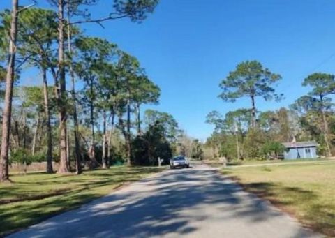 Tiny photo for 354 Bridle Path Lane, Other Florida, FL 32174 (MLS # 398058)