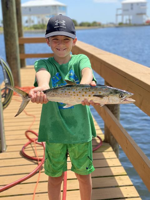 Tiny photo for 51 Walker Creek Drive, Crawfordville, FL 32327 (MLS # 396896)