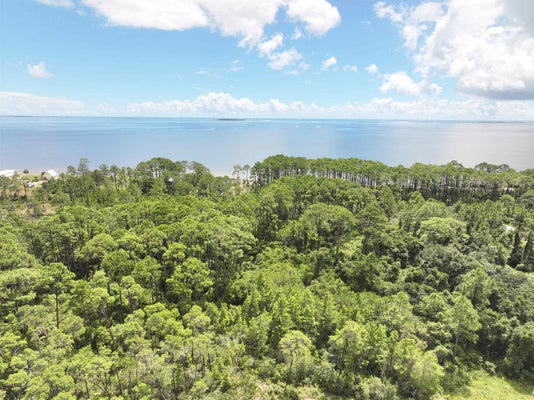 WOODILL RD, CARRABELLE, FL 32322 - Image ce309fc1b7dbaf8917a5aa9e0e1eaab0/711210069