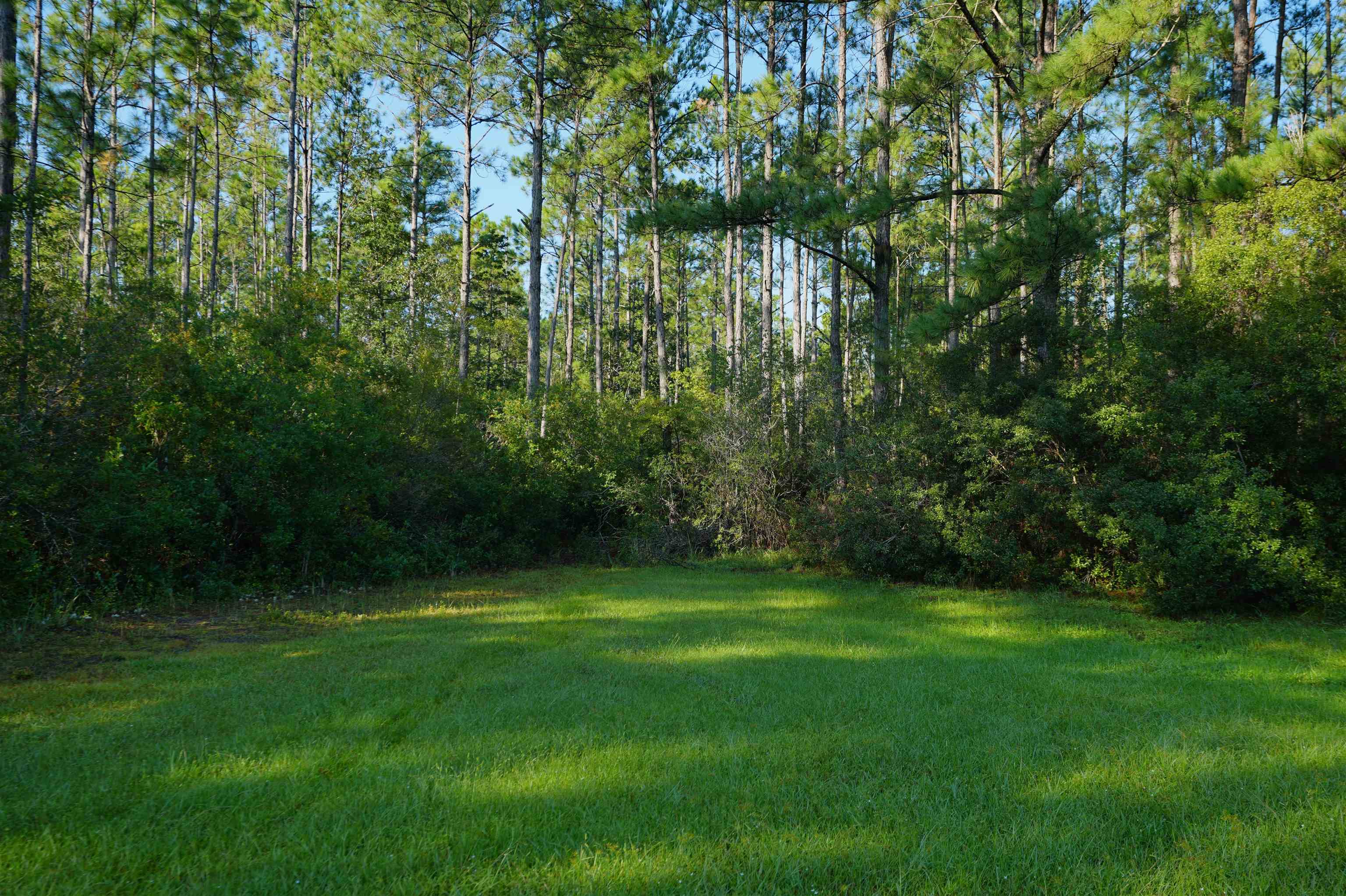 0 Blountstown Highway