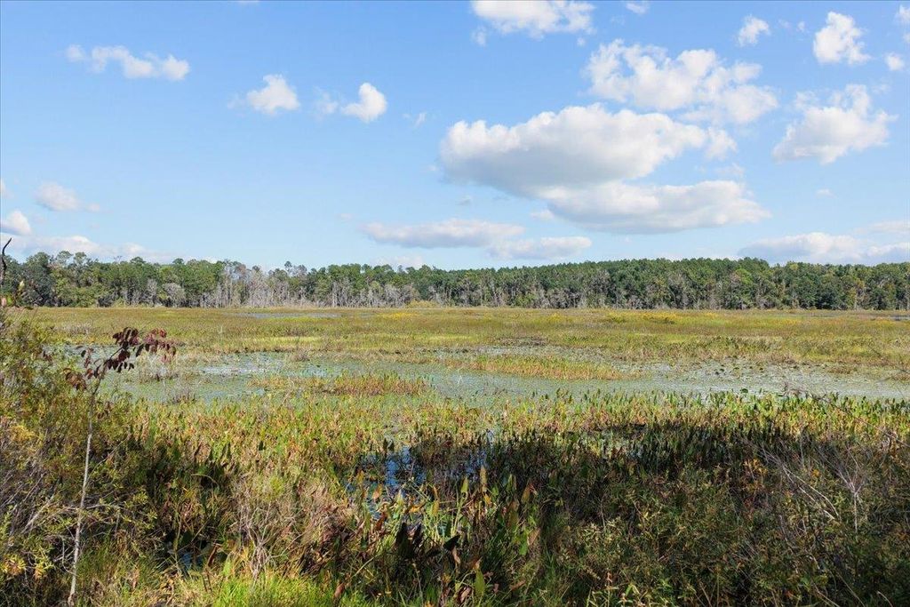 Photo of Vacant NW Little Cat Road, Madison, FL 32340 (MLS # 392135)