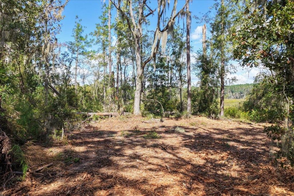 Photo of Vacant NW Little Cat Road, Madison, FL 32340 (MLS # 392135)