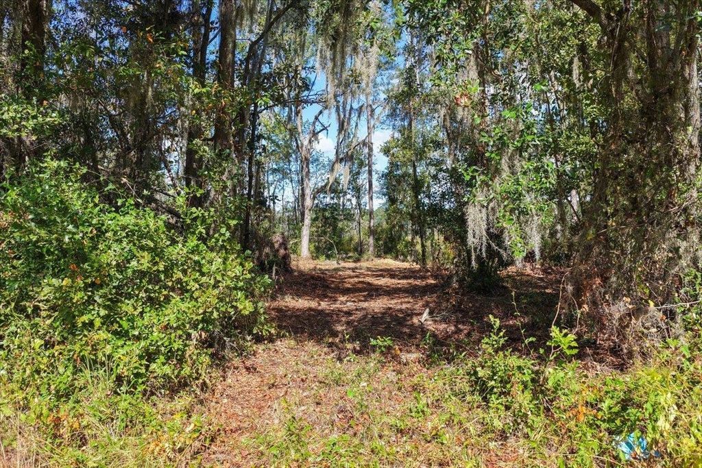 Photo of Vacant NW Little Cat Road, Madison, FL 32340 (MLS # 392135)