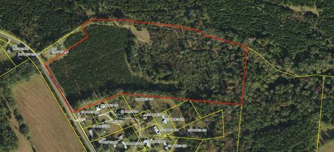 XXX Thigpen Road Quincy FL 32351