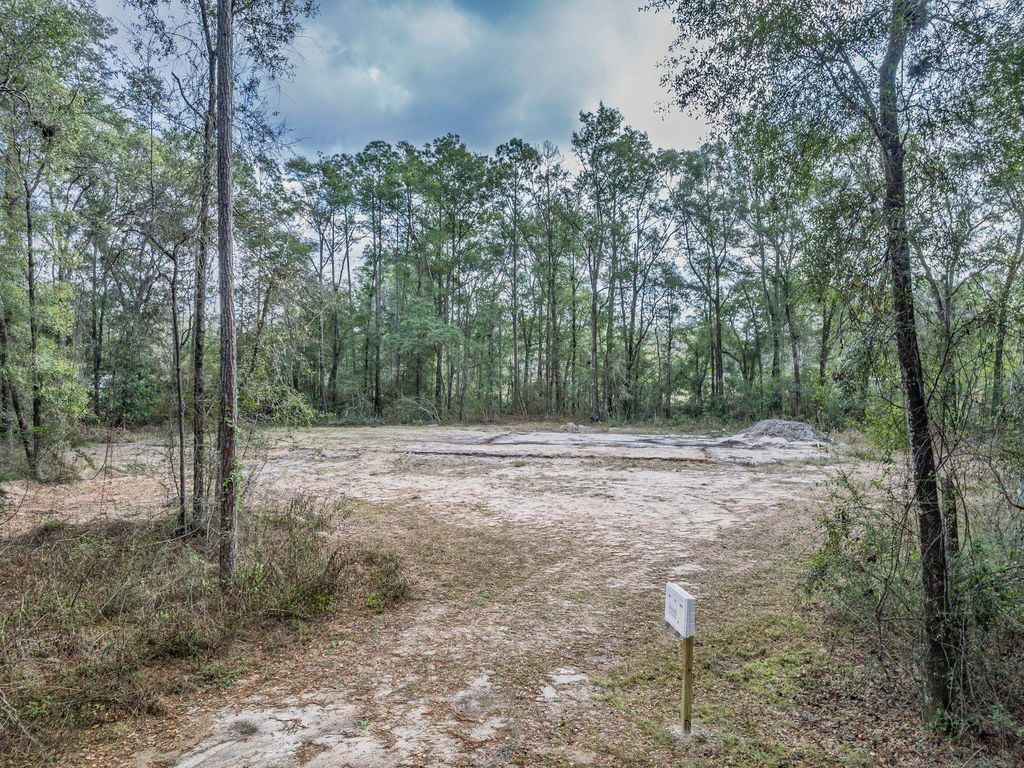 Photo of 181 AARON STRICKLAND Road, Crawfordville, FL 32327 (MLS # 397260)