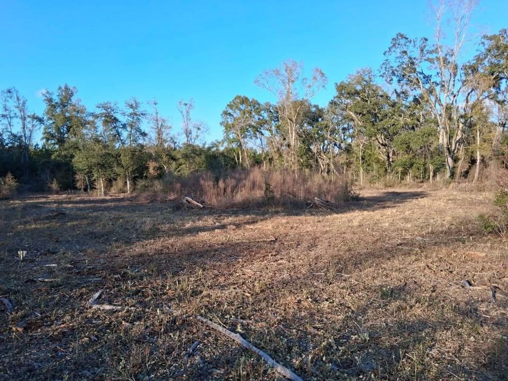 Photo of 1 W meadow Road, Monticello, FL 32344 (MLS # 395854)