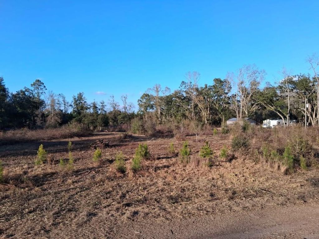 Photo of 1 W meadow Road, Monticello, FL 32344 (MLS # 395854)