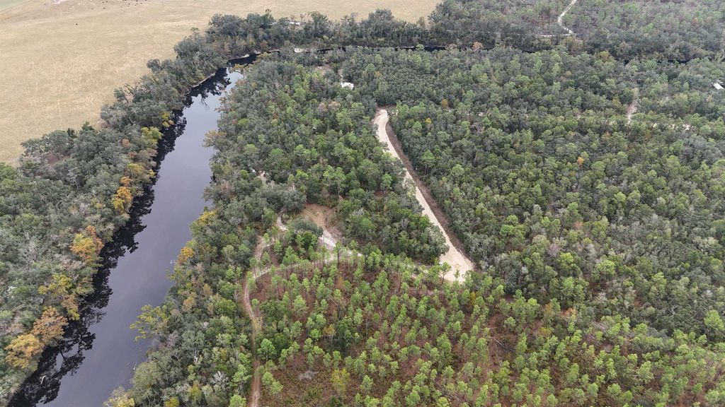 Photo of 526 NE N River Bend Way Way, Pinetta, FL 32350 (MLS # 393171)