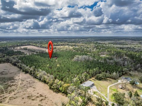 Tiny photo for 9152 Hidden Creek Lane, Tallahassee, FL 32311 (MLS # 397386)