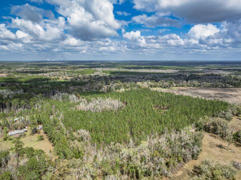 Tiny photo for 9152 Hidden Creek Lane, Tallahassee, FL 32311 (MLS # 397386)