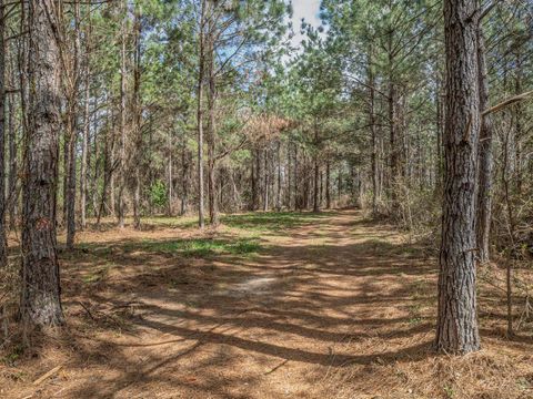 Tiny photo for 9152 Hidden Creek Lane, Tallahassee, FL 32311 (MLS # 397386)