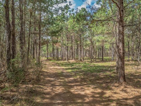 Tiny photo for 9152 Hidden Creek Lane, Tallahassee, FL 32311 (MLS # 397386)