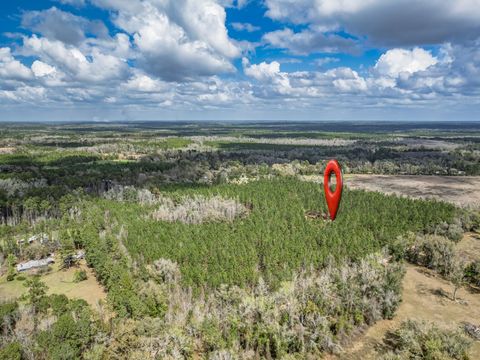 Tiny photo for 9152 Hidden Creek Lane, Tallahassee, FL 32311 (MLS # 397386)