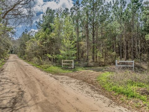 Tiny photo for 9152 Hidden Creek Lane, Tallahassee, FL 32311 (MLS # 397386)