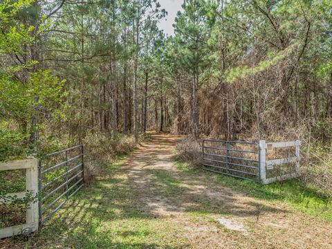 Tiny photo for 9152 Hidden Creek Lane, Tallahassee, FL 32311 (MLS # 397386)