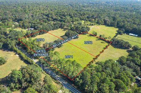 Tiny photo for Lot 1 Bella Bianco Way, Tallahassee, FL 32309 (MLS # 391440)