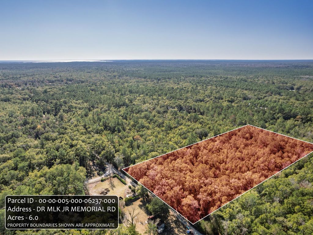 Photo of XX Dr Mlk Jr Memorial Road, Crawfordville, FL 32327 (MLS # 394141)