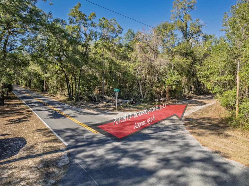 Photo of XX Dr Mlk Jr Memorial Road, Crawfordville, FL 32327 (MLS # 394141)
