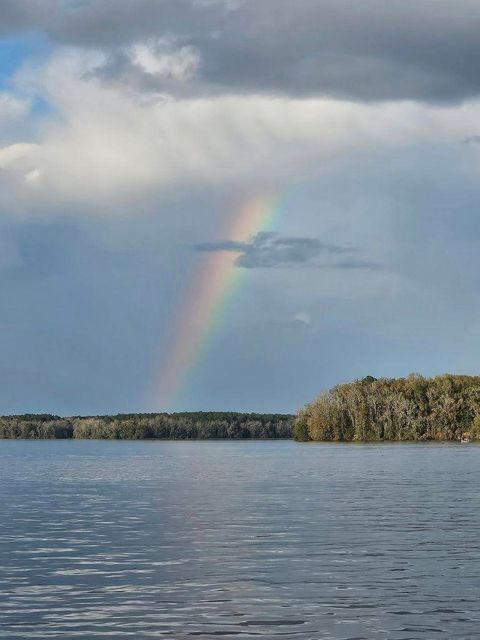 Tiny photo for 0 Preston Johnson Road, Tallahassee, FL 32310 (MLS # 376376)