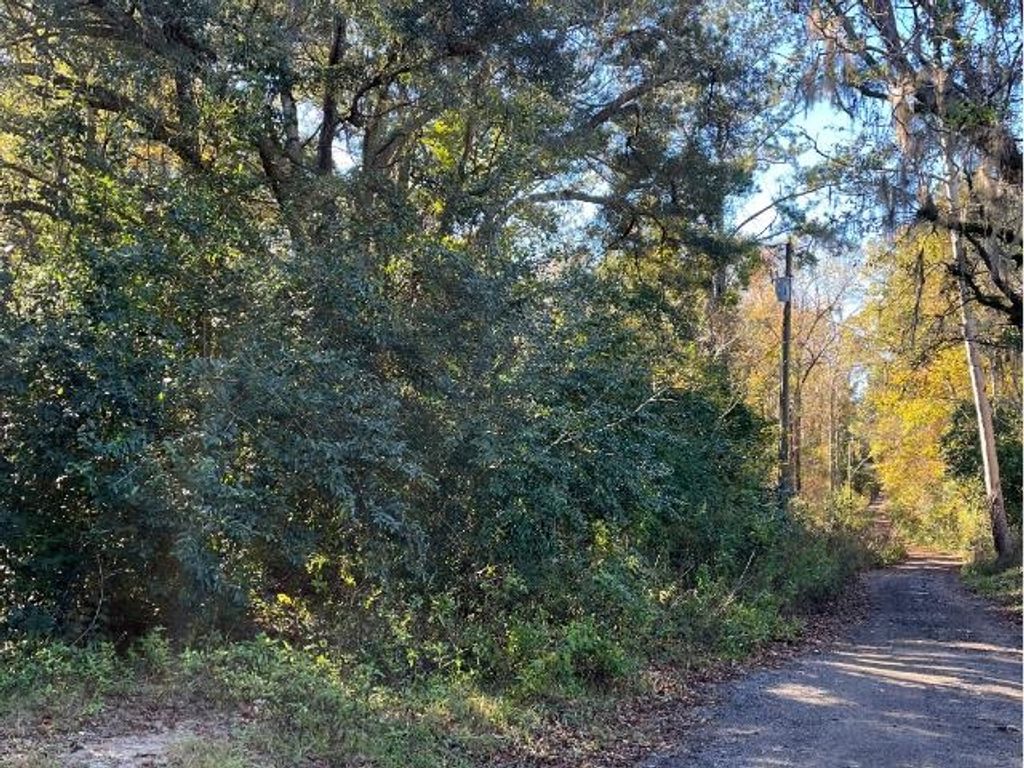 Photo of 7524 King Post Way, Tallahassee, FL 32309 (MLS # 395815)