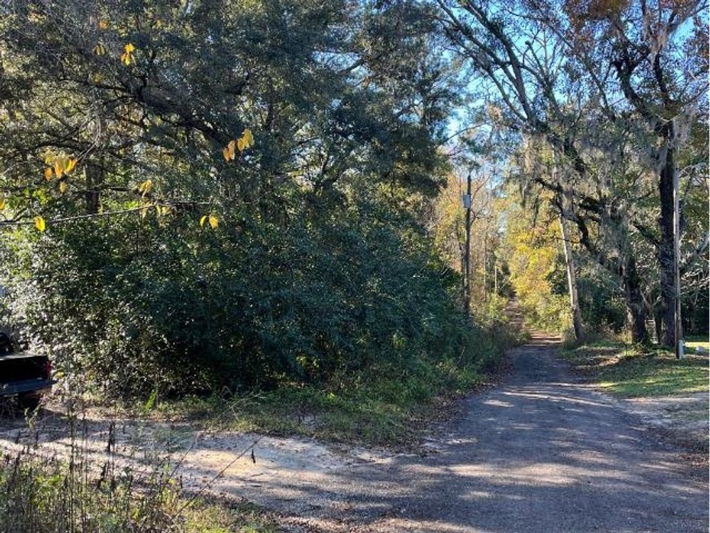 Photo of 7524 King Post Way, Tallahassee, FL 32309 (MLS # 395815)