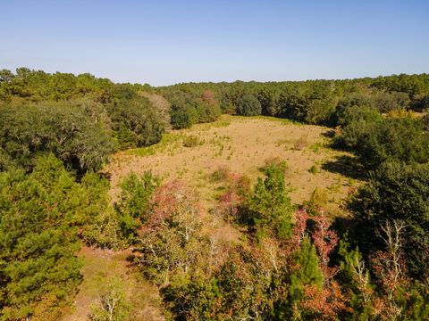 Tiny photo for Y Gardners Farm Road, Tallahassee, FL 32312 (MLS # 392306)