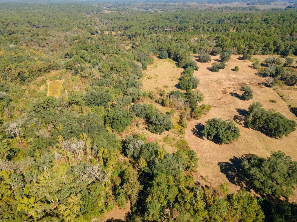 Photo of Y Gardners Farm Road, Tallahassee, FL 32312 (MLS # 392306)