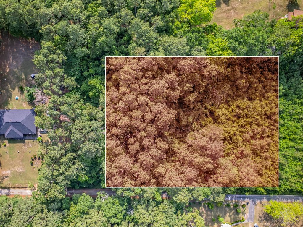 Photo of 0 LITTLETON CIR, Tallahassee, FL 32308 (MLS # 399561)