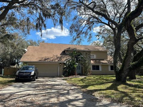 Photo of 8427 Cranes Roost Drive, New Port Richey, FL 34654 (MLS # 396765)