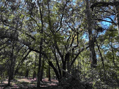 Tiny photo for 4316 Scawthorn Drive, Tallahassee, FL 32303 (MLS # 392211)
