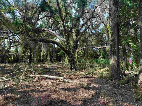 Tiny photo for 0 Longhorn Drive, Tallahassee, FL 32311 (MLS # 388279)