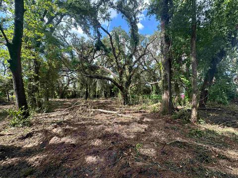 Tiny photo for 0 Longhorn Drive, Tallahassee, FL 32311 (MLS # 388279)