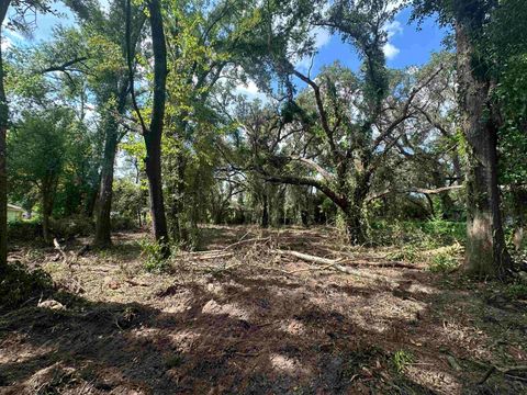 Tiny photo for 0 Longhorn Drive, Tallahassee, FL 32311 (MLS # 388279)
