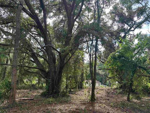Tiny photo for 0 Longhorn Drive, Tallahassee, FL 32311 (MLS # 388279)