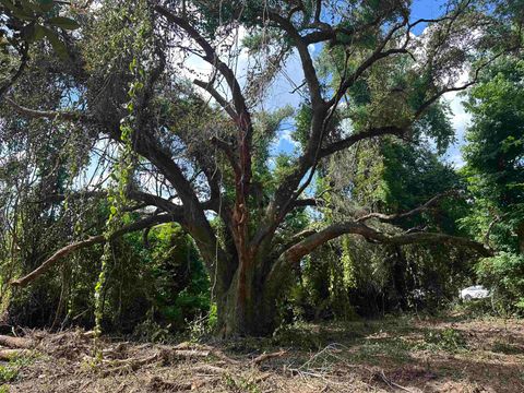 Tiny photo for 0 Longhorn Drive, Tallahassee, FL 32311 (MLS # 388279)