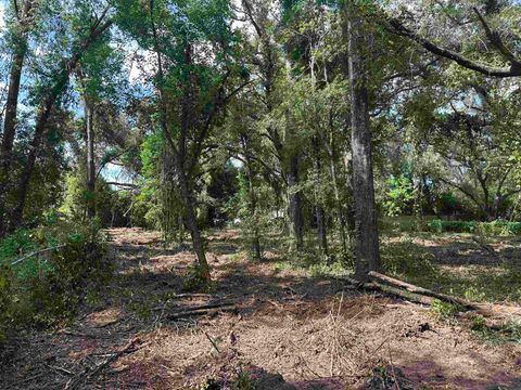 Tiny photo for 0 Longhorn Drive, Tallahassee, FL 32311 (MLS # 388279)