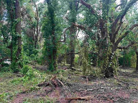 Tiny photo for 0 Longhorn Drive, Tallahassee, FL 32311 (MLS # 388279)