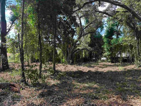 Tiny photo for 0 Longhorn Drive, Tallahassee, FL 32311 (MLS # 388279)
