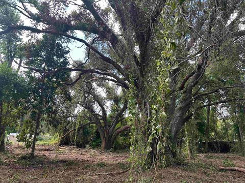 Tiny photo for 0 Longhorn Drive, Tallahassee, FL 32311 (MLS # 388279)